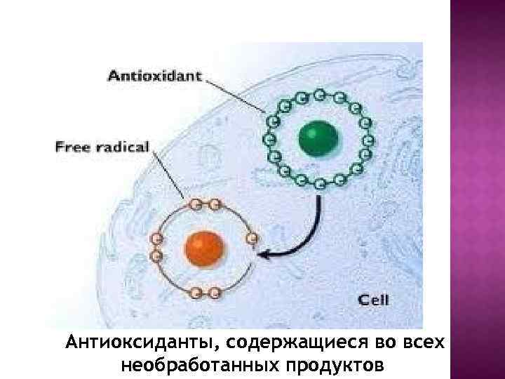 Антиоксиданты, содержащиеся во всех необработанных продуктов 