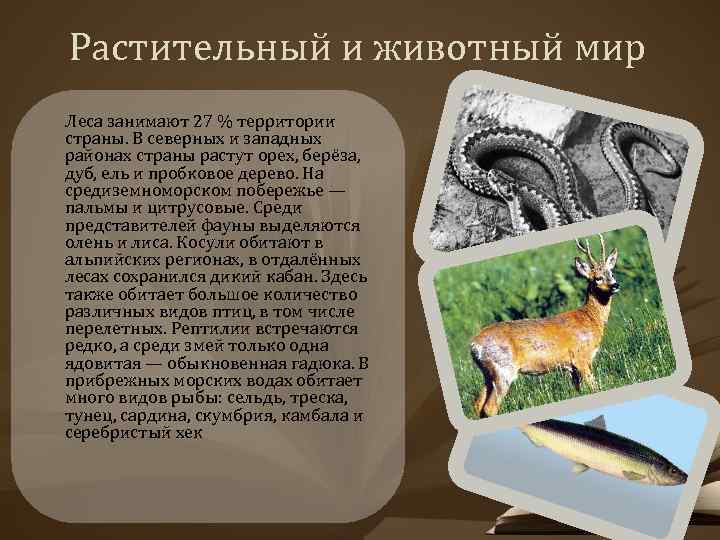 Растительный и животный мир Леса занимают 27 % территории страны. В северных и западных