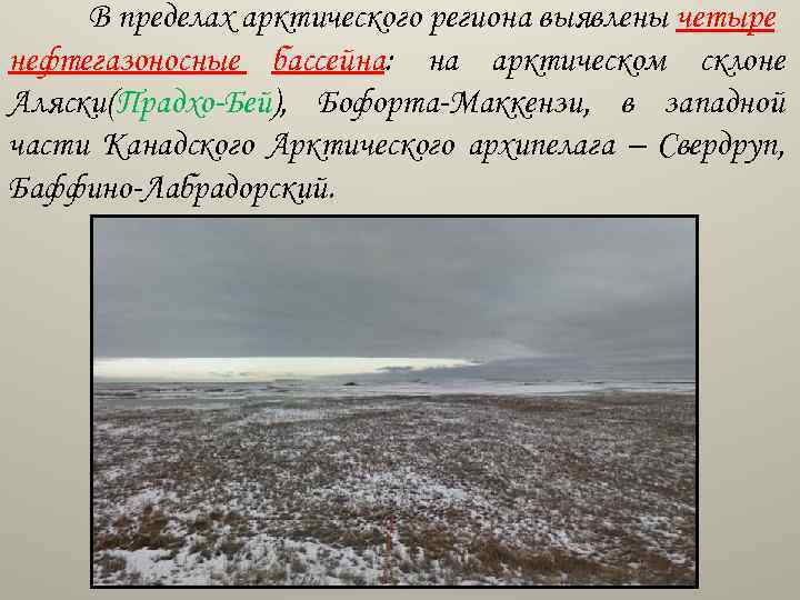 В пределах арктического региона выявлены четыре нефтегазоносные бассейна: на арктическом склоне Аляски(Прадхо-Бей), Бофорта-Маккензи, в