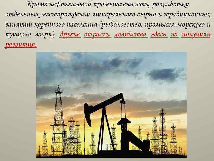 Кроме нефтегазовой промышленности, разработки отдельных месторождений минерального сырья и традиционных занятий коренного населения (рыболовство,