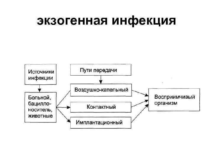 экзогенная инфекция 