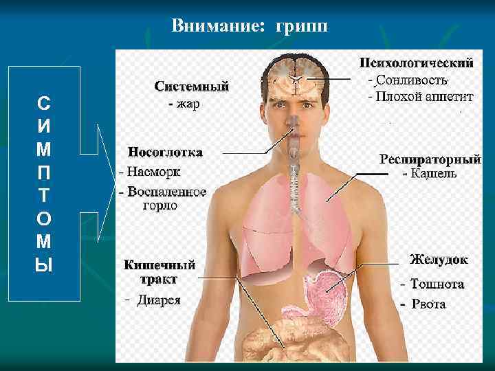 Внимание: грипп С И М П Т О М Ы 