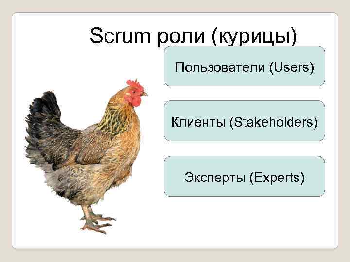 Scrum роли (курицы) Пользователи (Users) Клиенты (Stakeholders) Эксперты (Experts) 