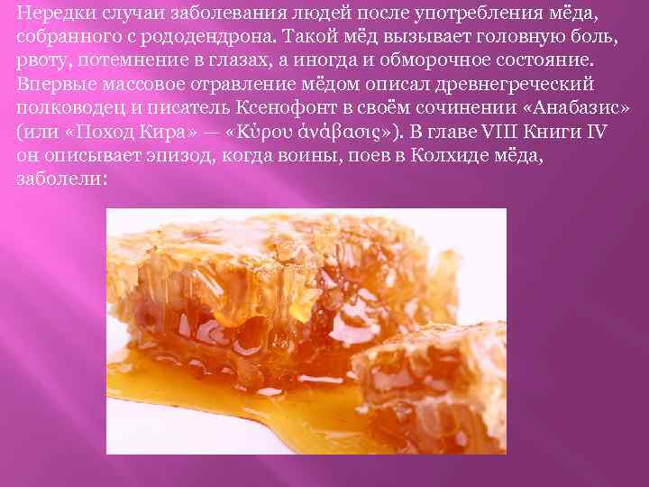 Нередки случаи заболевания людей после употребления мёда, собранного с рододендрона. Такой мёд вызывает головную