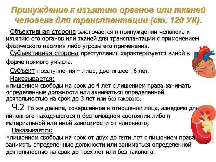 Заведомо для виновного находящейся в. Принуждение к изъятию органов или тканей для трансплантации. Принуждение к изъятию органов и тканей человека для трансплантации. Ст 120 УК. Незаконное изъятие органов и тканей.