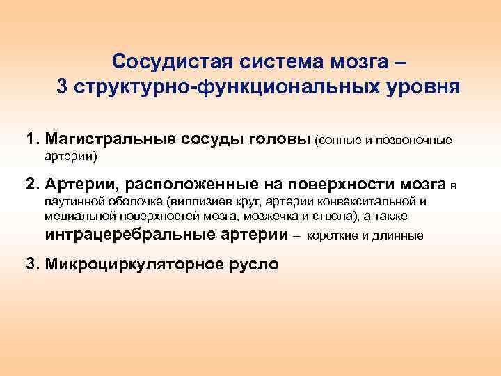 Сосудистая система мозга – 3 структурно-функциональных уровня 1. Магистральные сосуды головы (сонные и позвоночные