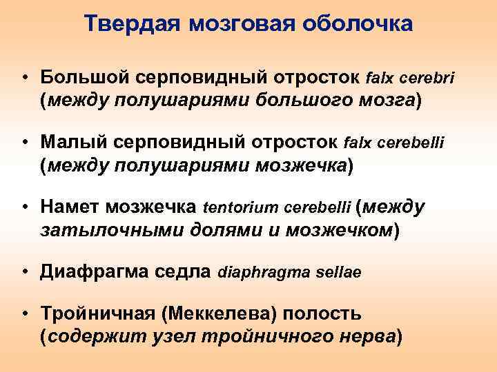 Твердая мозговая оболочка • Большой серповидный отросток falx cerebri (между полушариями большого мозга) •