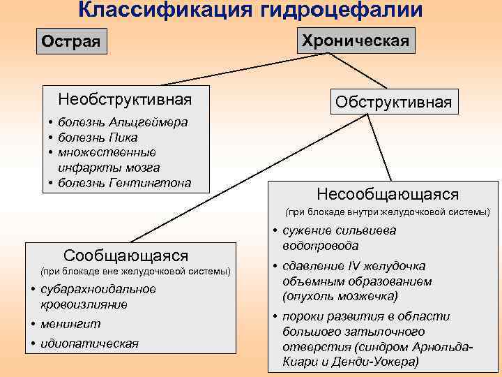 Виды гидроцефалии. Гидроцефалия классификация. Гидроцефалия головного мозга классификация. Водянка классификация. Врожденная гидроцефалия классификация.