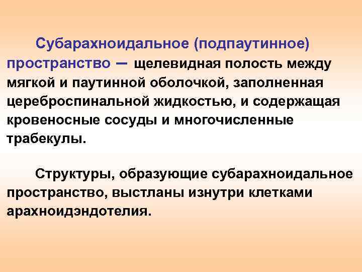 Расширения субарахноидальных пространств заместительного характера. Субарахноидальное пространство. Подпаутинное пространство.