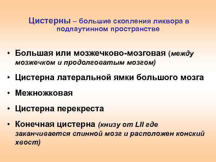 Цистерны – большие скопления ликвора в подпаутинном пространстве • Большая или мозжечково-мозговая (между мозжечком