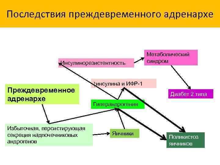 Для клинической картины гиперандрогении надпочечникового генеза характерно