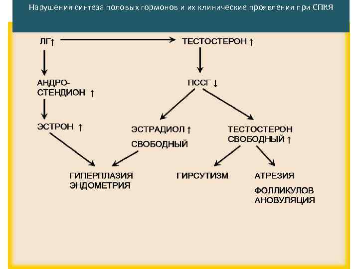 Нарушения синтеза половых гормонов и их клинические проявления при СПКЯ 