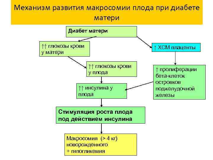 Диабетическая фетопатия презентация