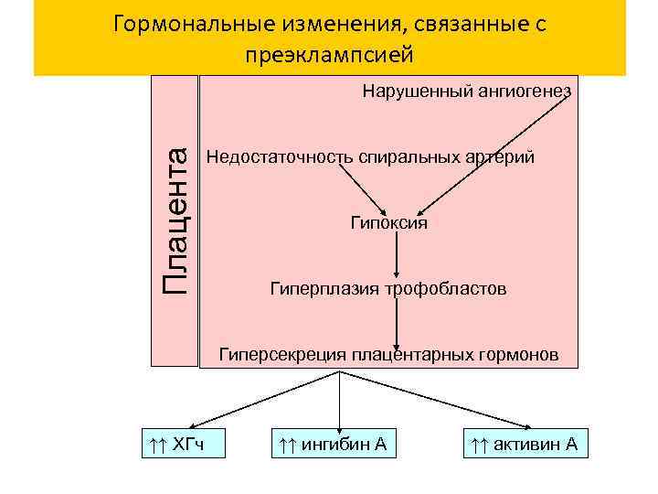 Гормональные изменения, связанные с преэклампсией Плацента Нарушенный ангиогенез Недостаточность спиральных артерий Гипоксия Гиперплазия трофобластов