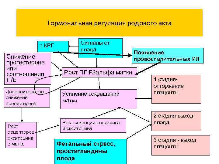 Гормональная регуляция. Регуляция родовой деятельности. Уровни регуляции родовой деятельности. Компоненты родового акта. Регуляции родового акта.