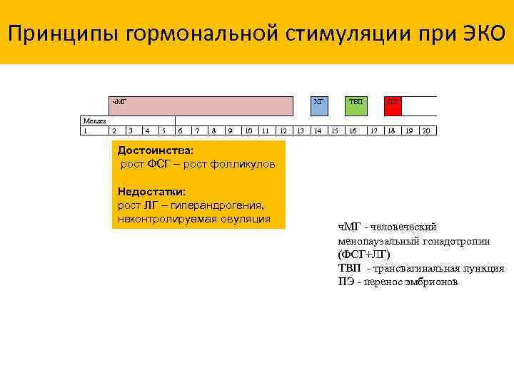 Принципы гормональной стимуляции при ЭКО ч. МГ Menses 1 2 ХГ 3 4 5