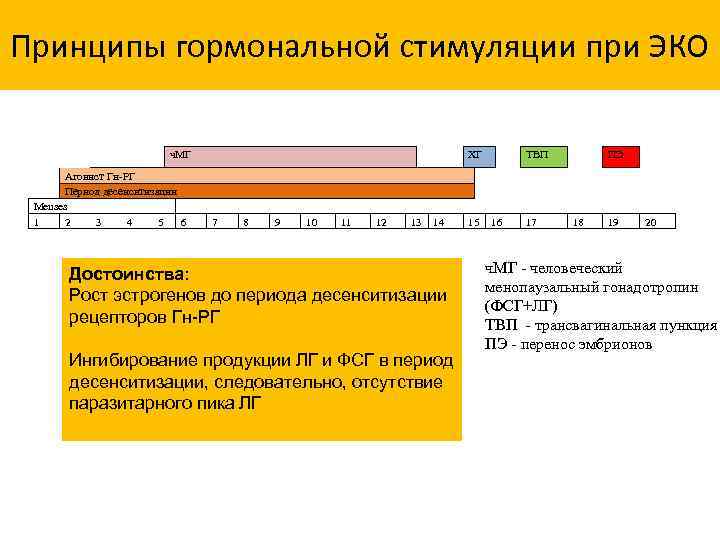 Принципы гормональной стимуляции при ЭКО ч. МГ Агонист Гн-РГ Период десенситизации Menses 1 2