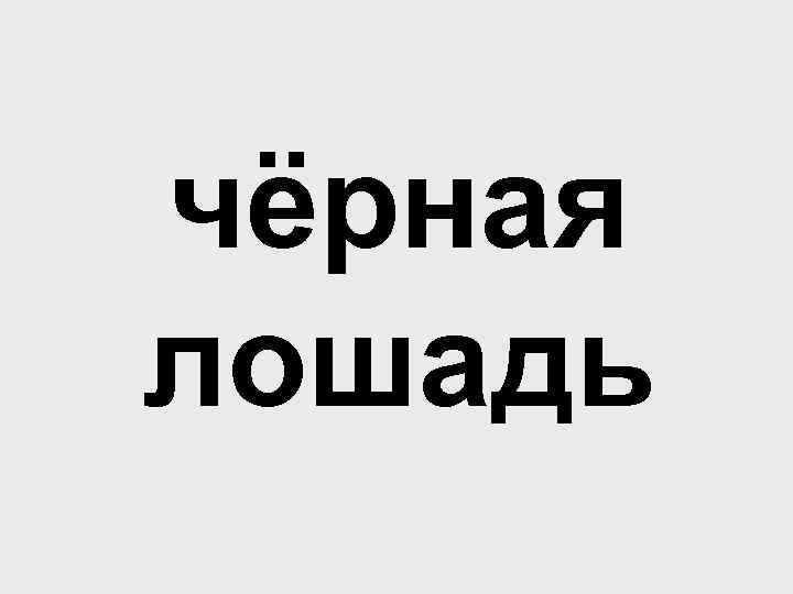 чёрная лошадь 