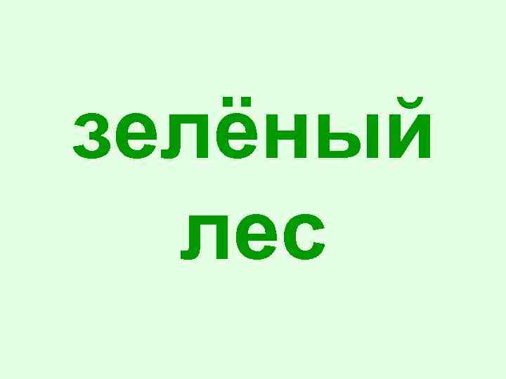 зелёный лес 