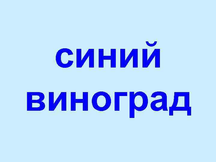 синий виноград 