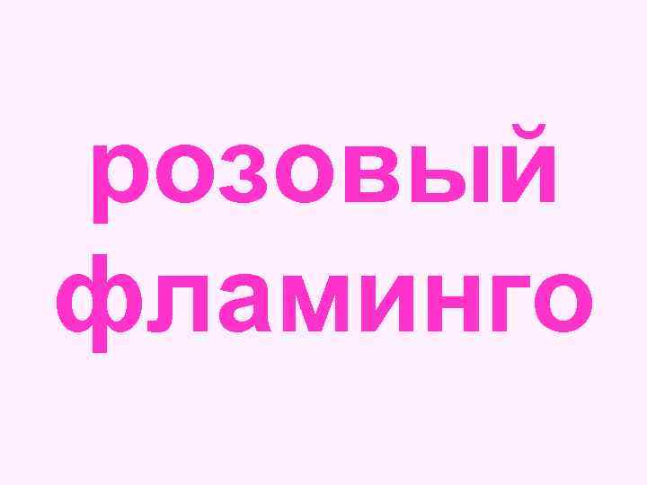 розовый фламинго 