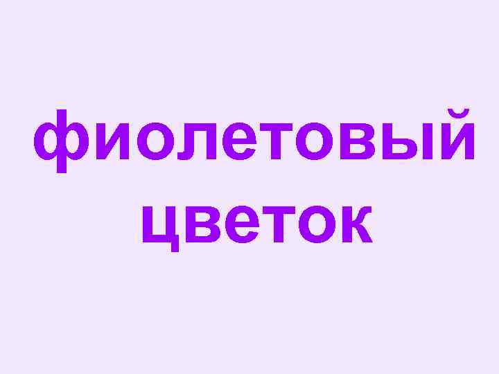 фиолетовый цветок 
