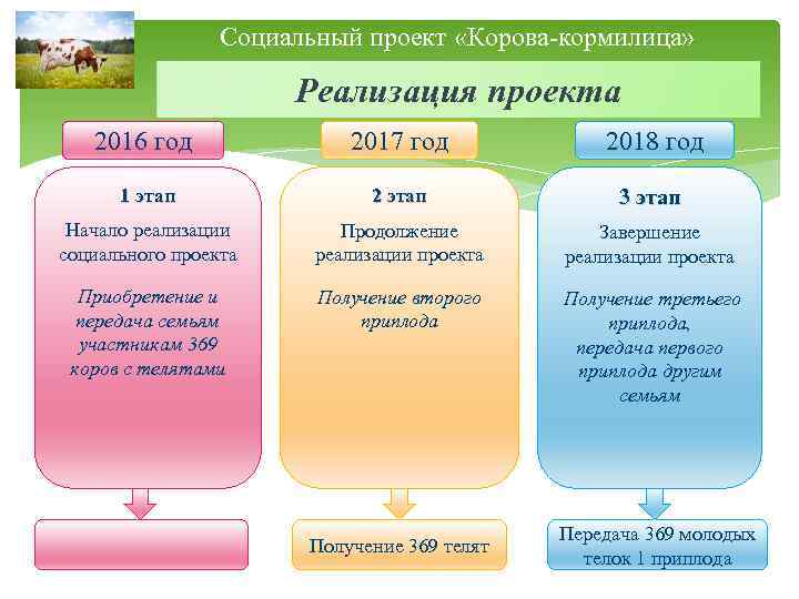 Социальный проект «Корова-кормилица» Реализация проекта 2016 год 2017 год 2018 год 1 этап 2