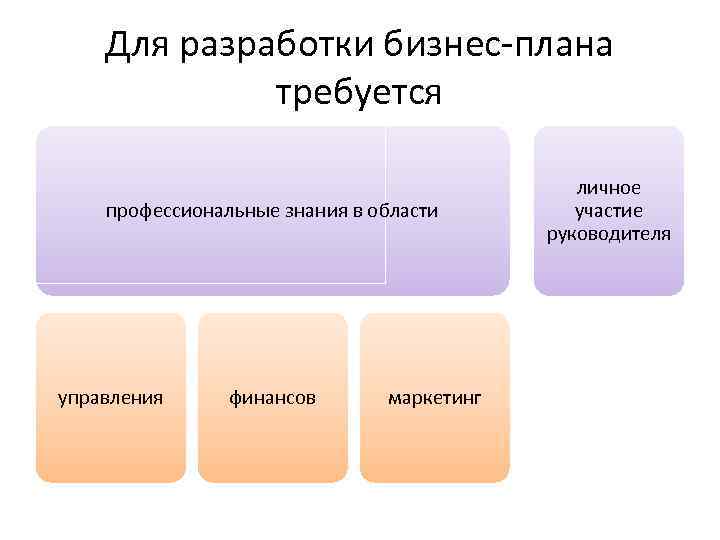 Для разработки бизнес-плана требуется профессиональные знания в области управления финансов маркетинг личное участие руководителя