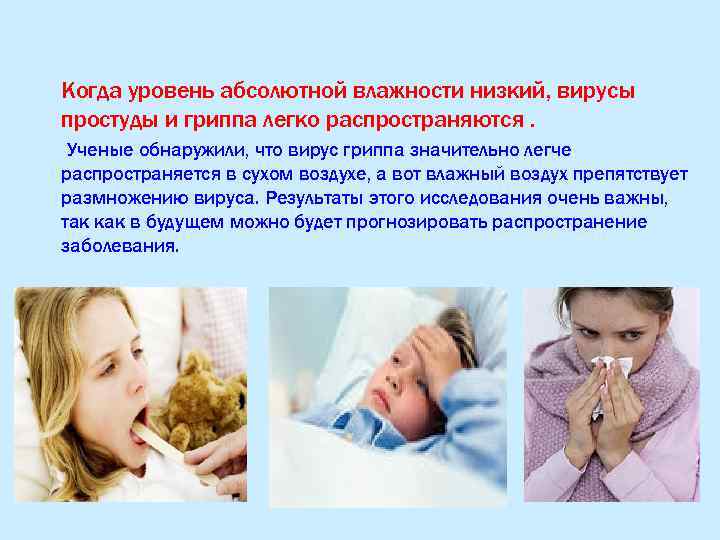 Когда уровень абсолютной влажности низкий, вирусы простуды и гриппа легко распространяются. Ученые обнаружили, что