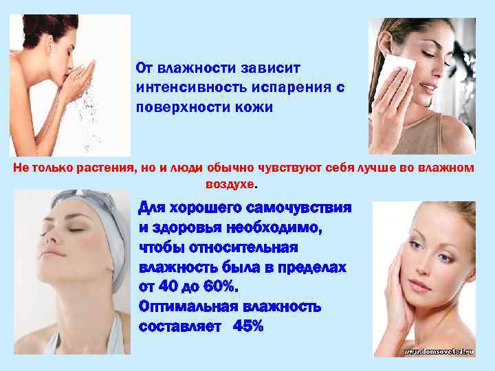 От влажности зависит интенсивность испарения с поверхности кожи Не только растения, но и люди