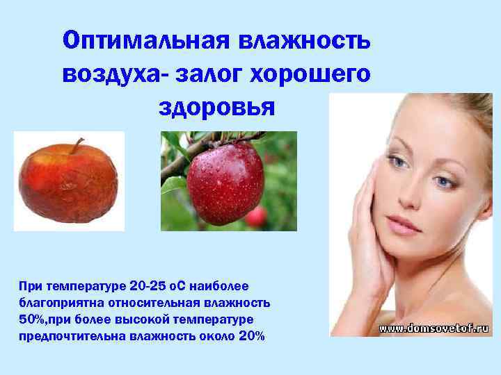 Оптимальная влажность воздуха- залог хорошего здоровья При температуре 20 -25 о. С наиболее благоприятна