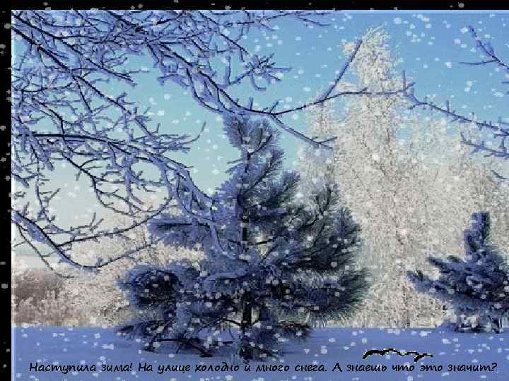 Наступила зима! На улице холодно и много снега. А знаешь что это значит? 