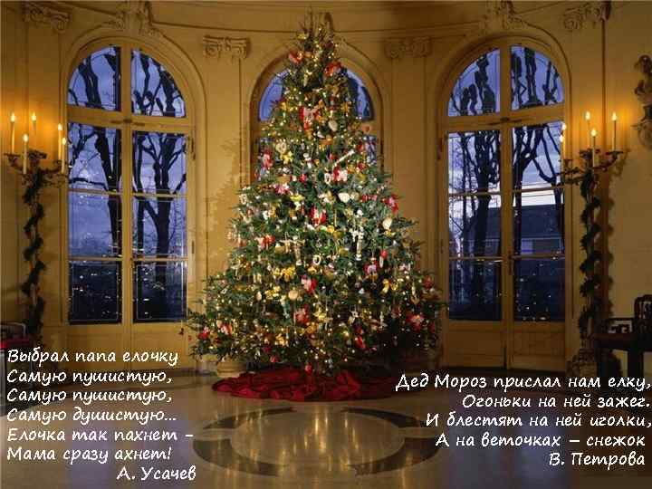 Выбрал папа елочку Самую пушистую, Самую душистую… Елочка так пахнет Мама сразу ахнет! А.
