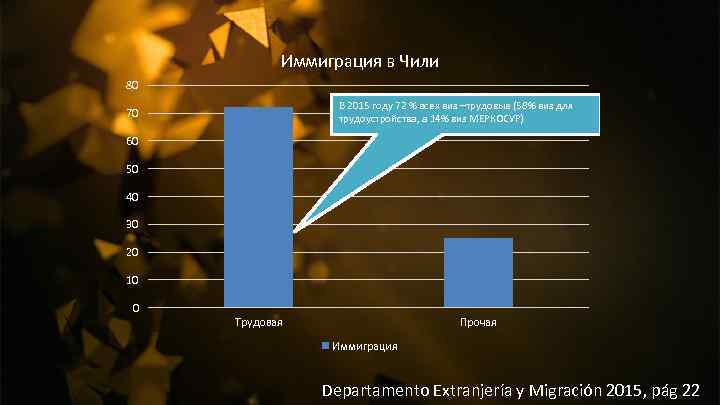 Иммиграция в Чили 80 В 2015 году 72 % всех виз –трудовые (58% виз