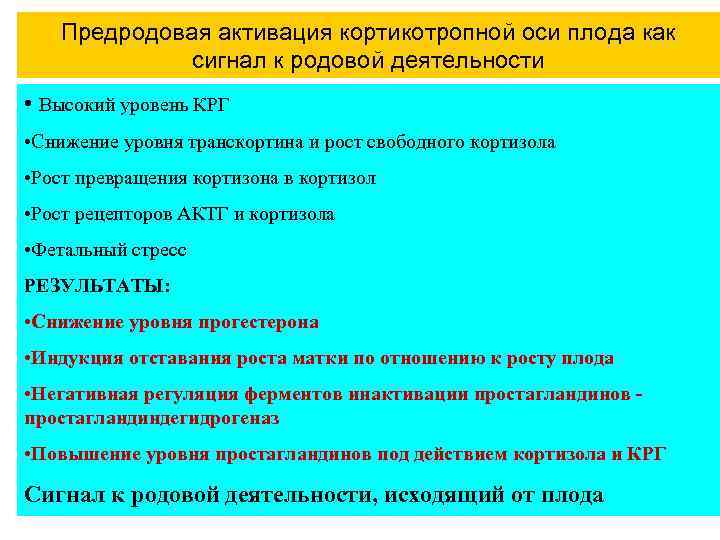 Предродовая активация кортикотропной оси плода как сигнал к родовой деятельности • Высокий уровень КРГ