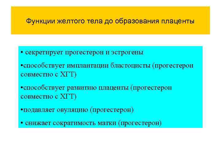 Функции желтого тела до образования плаценты • секретирует прогестерон и эстрогены • способствует имплантации