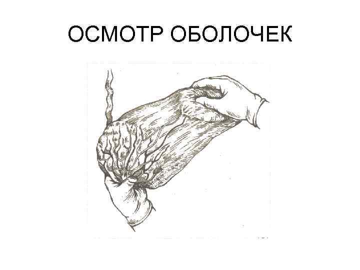 ОСМОТР ОБОЛОЧЕК 