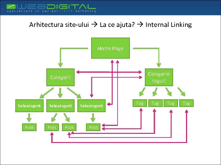 Arhitectura site-ului La ce ajuta? Internal Linking Home Page Categorie taguri Categorii Subcategorii Post