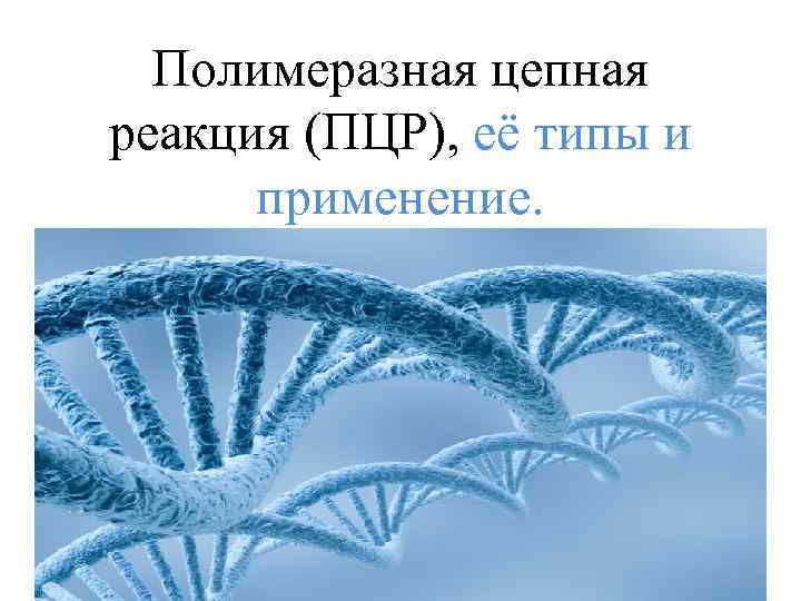 Полимеразная цепная реакция (ПЦР), её типы и применение. 