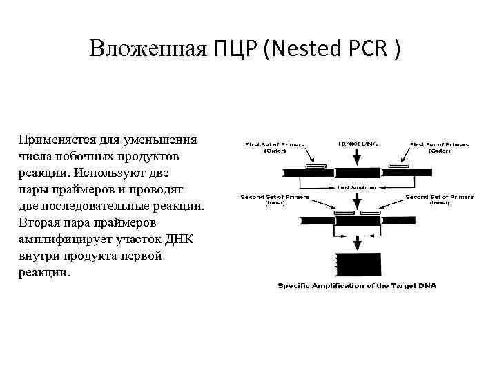 Вложенная ПЦР (Nested PCR ) Применяется для уменьшения числа побочных продуктов реакции. Используют две