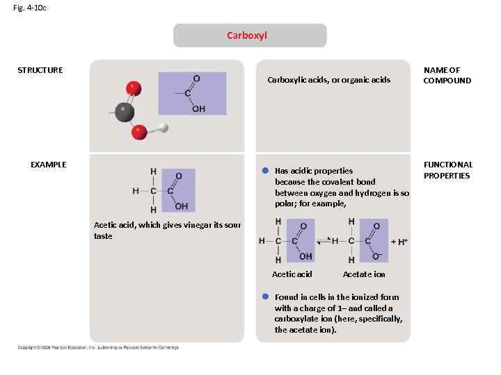 Fig. 4 -10 c Carboxyl STRUCTURE Carboxylic acids, or organic acids EXAMPLE Has acidic