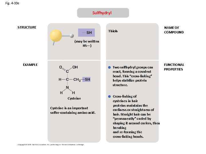 Fig. 4 -10 e Sulfhydryl STRUCTURE Thiols NAME OF COMPOUND (may be written HS—)