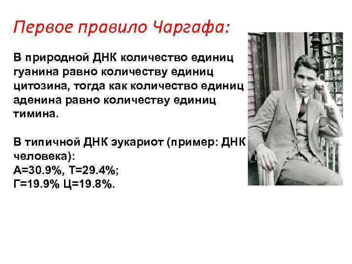 Первое правило Чаргафа: В природной ДНК количество единиц гуанина равно количеству единиц цитозина, тогда