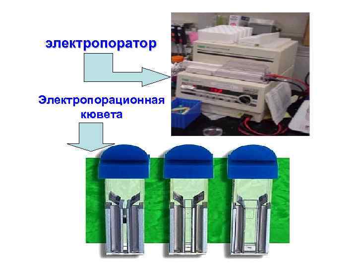 электропоратор Электропорационная кювета 