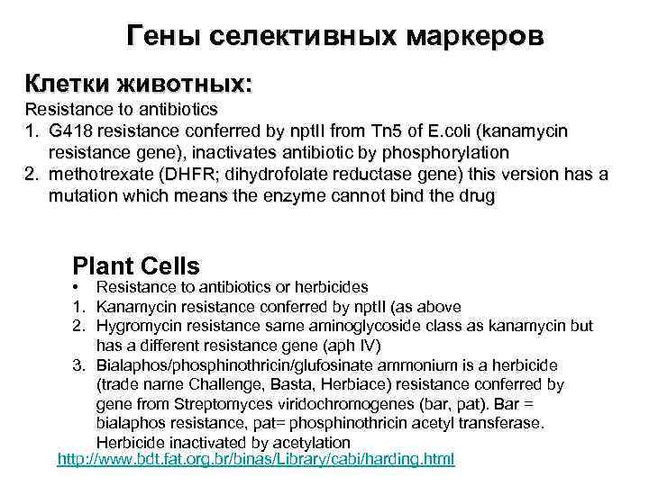 Гены селективных маркеров Клетки животных: Resistance to antibiotics 1. G 418 resistance conferred by