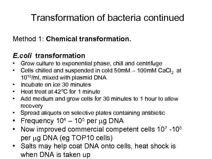 Transformation of bacteria continued Method 1: Chemical transformation. E. coli transformation • Grow culture