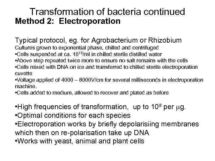Transformation of bacteria continued Method 2: Electroporation Typical protocol, eg. for Agrobacterium or Rhizobium
