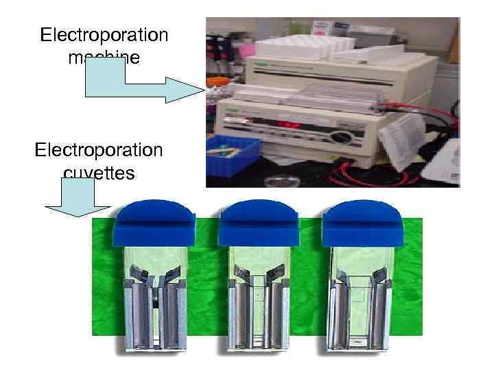 Electroporation machine Electroporation cuvettes 