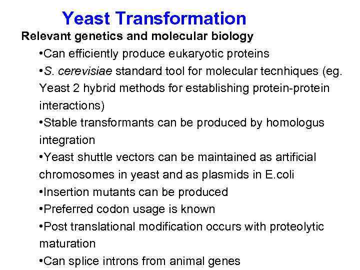 Yeast Transformation Relevant genetics and molecular biology • Can efficiently produce eukaryotic proteins •