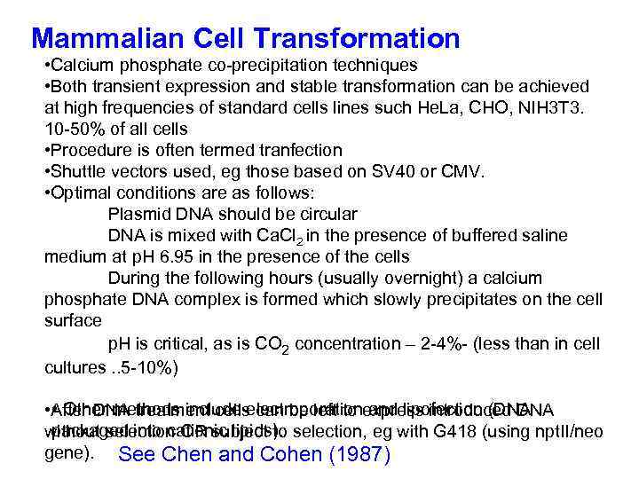 Mammalian Cell Transformation • Calcium phosphate co-precipitation techniques • Both transient expression and stable